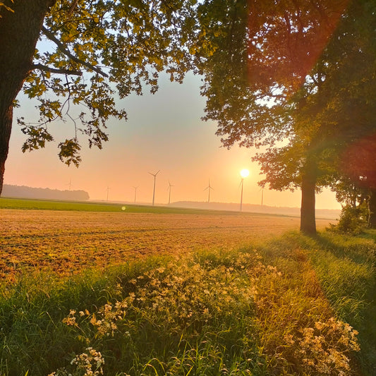 Rindfleischabholung am 14.06.24