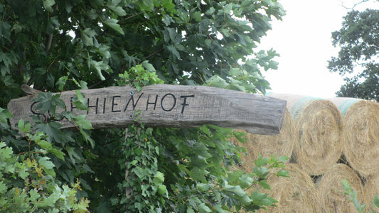 Hofführung am Sonntag, 26.04.2026