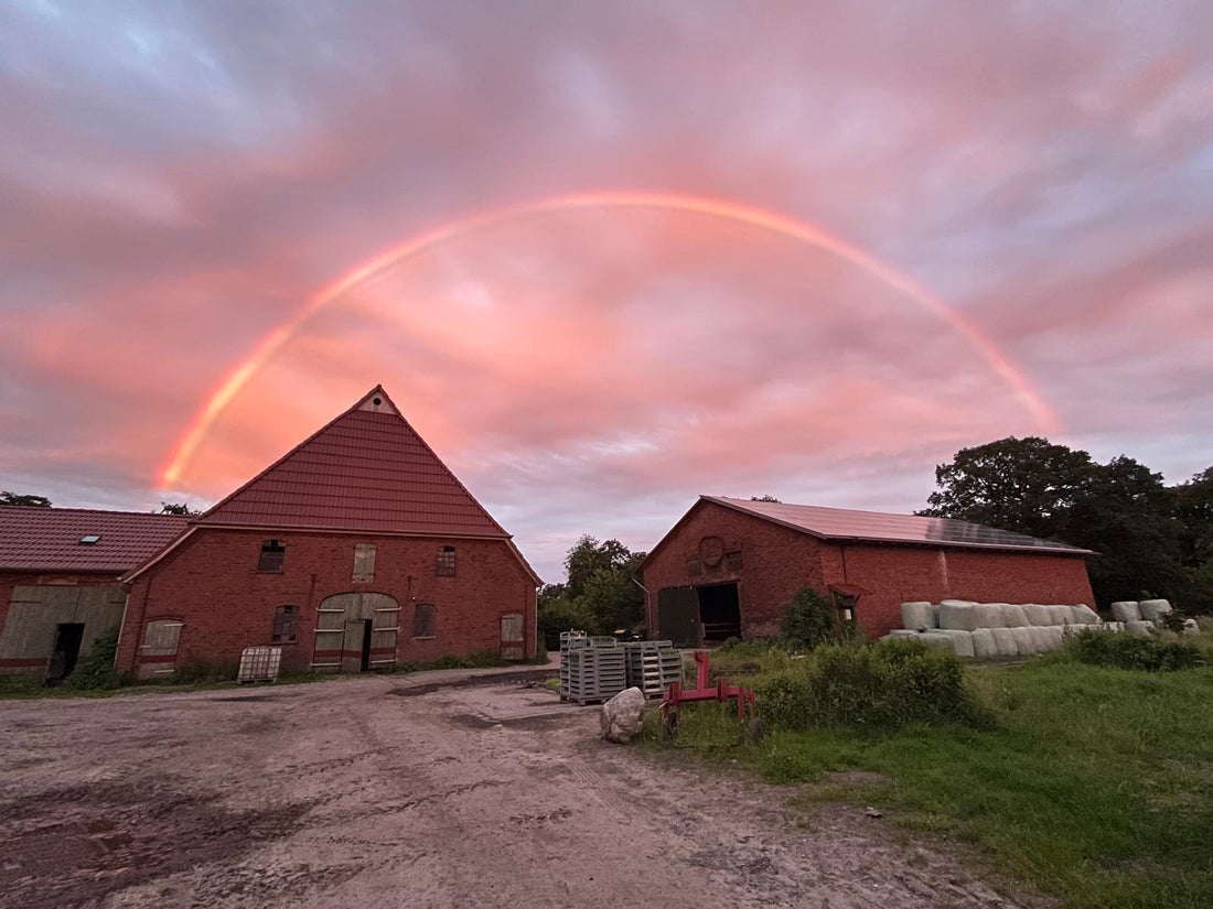 Das neue Wirtschaftsjahr ist gestartet!