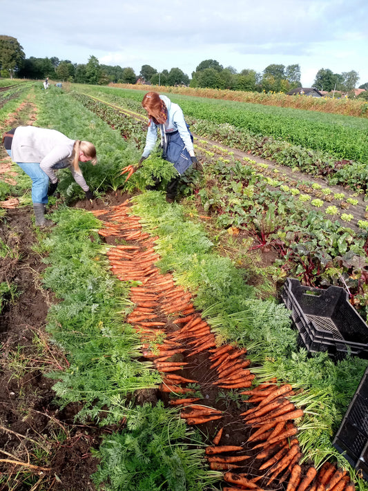 Aktion "Mitglieder werben Mitglieder"
